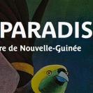 Exposition Plumes du Paradis