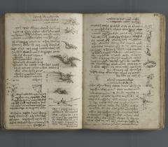 Le vol des oiseaux. Carnet E, ms 2176, f. 43v/44r © Bibliothèque de l'Institut de France Le vol des oiseaux. Carnet E, ms 2176, f. 43v/44r © Bibliothèque de l'Institut de France