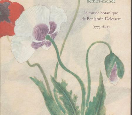 Un herbier-monde : le musée botanique de Benjamin Delessert (1773-1847)